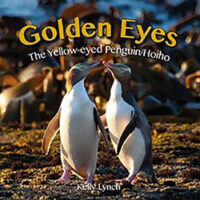 Golden Eyes by Kelly Lynch – The Yellow-Eyed Penguin or Hoiho