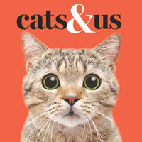 Cats & Us by Gareth St John Thomas