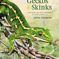 Geckos & Skinks by Anna Yeoman